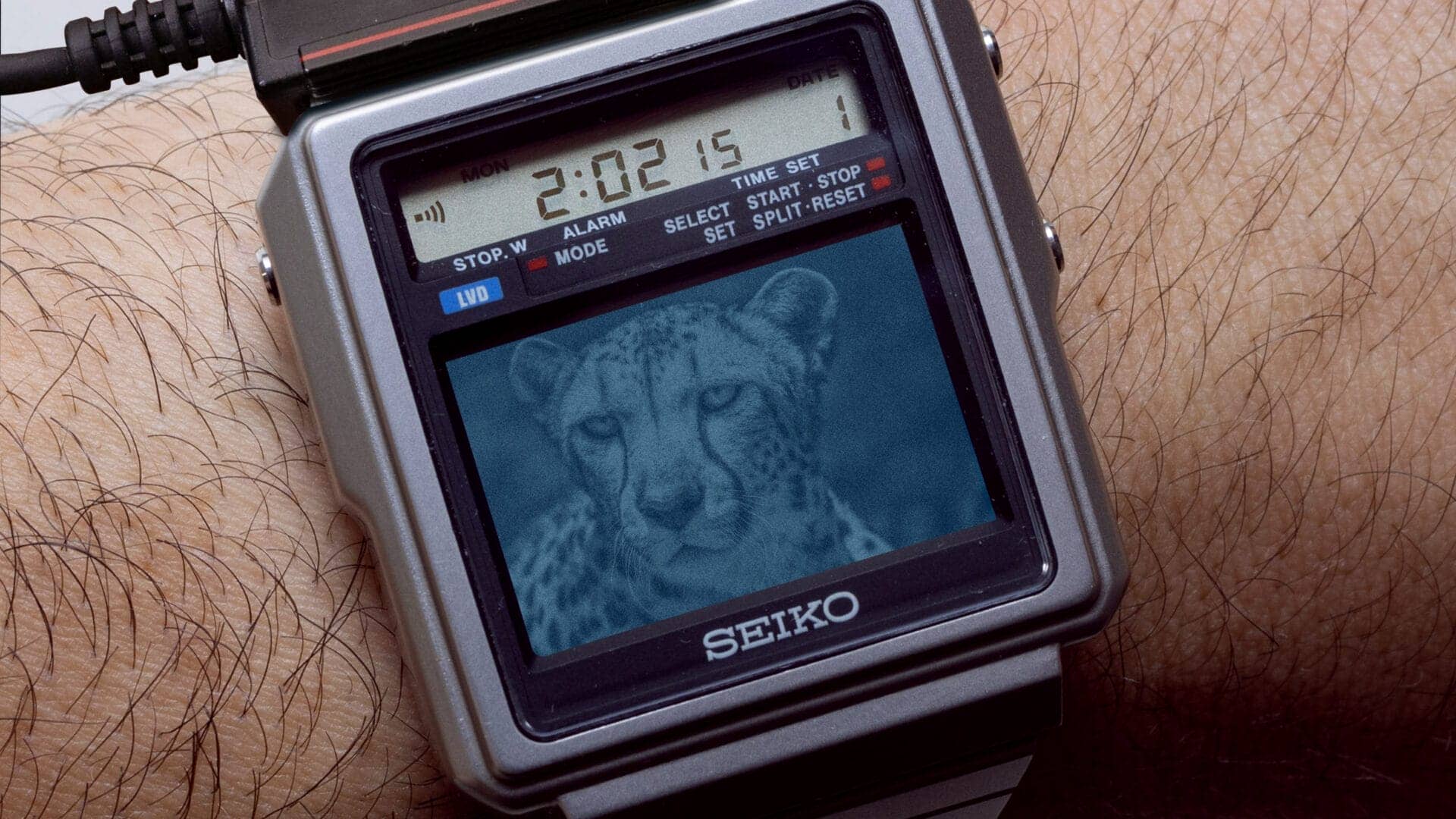 Seiko Tv watch