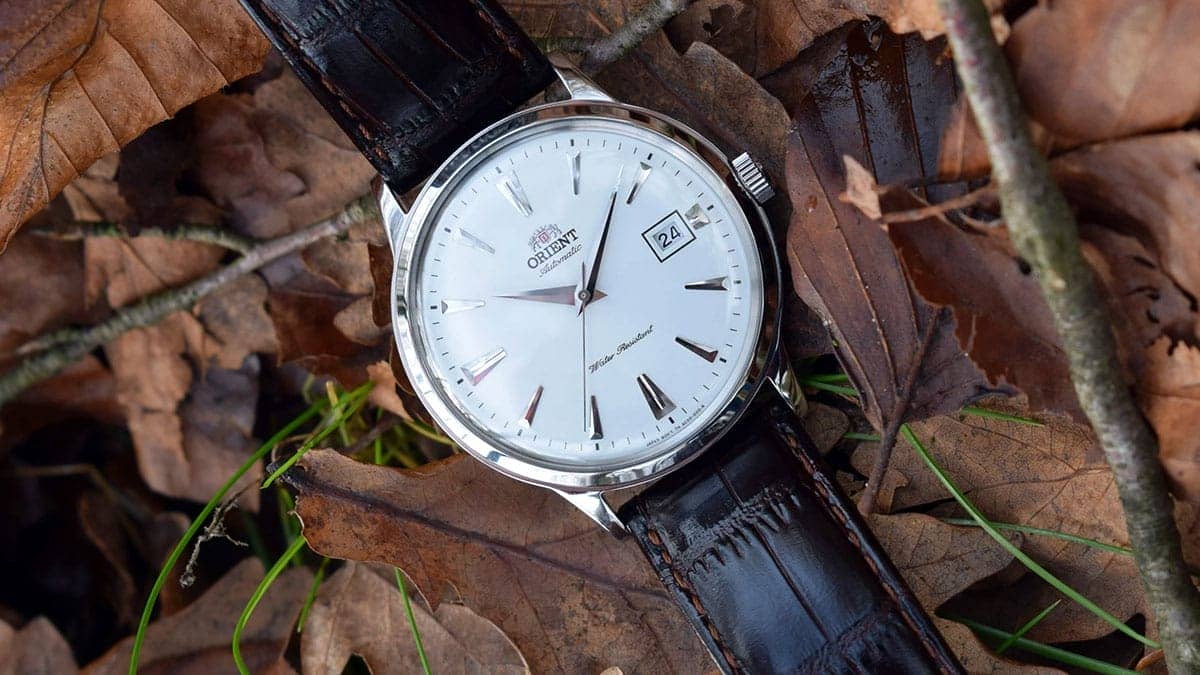orient bambino